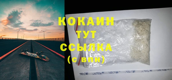 стаф Богородск