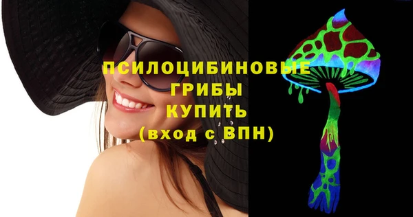 mix Бородино