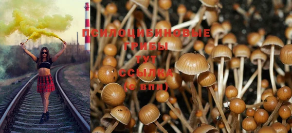 трава Верхнеуральск