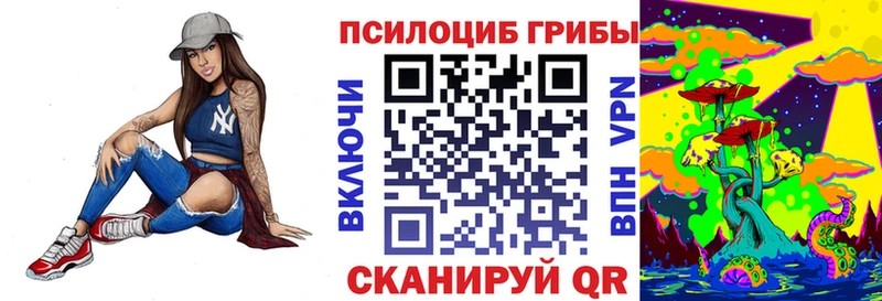 купить наркотики цена  Балашов  Галлюциногенные грибы Magic Shrooms 